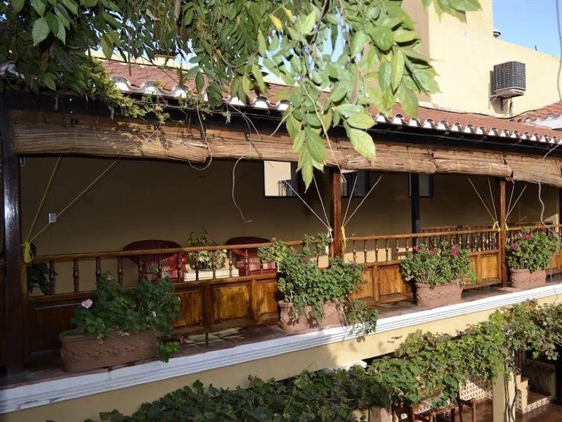 Villa Vicuna Cafayate Boutique Hotel エクステリア 写真