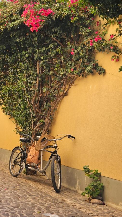 Villa Vicuna Cafayate Boutique Hotel エクステリア 写真