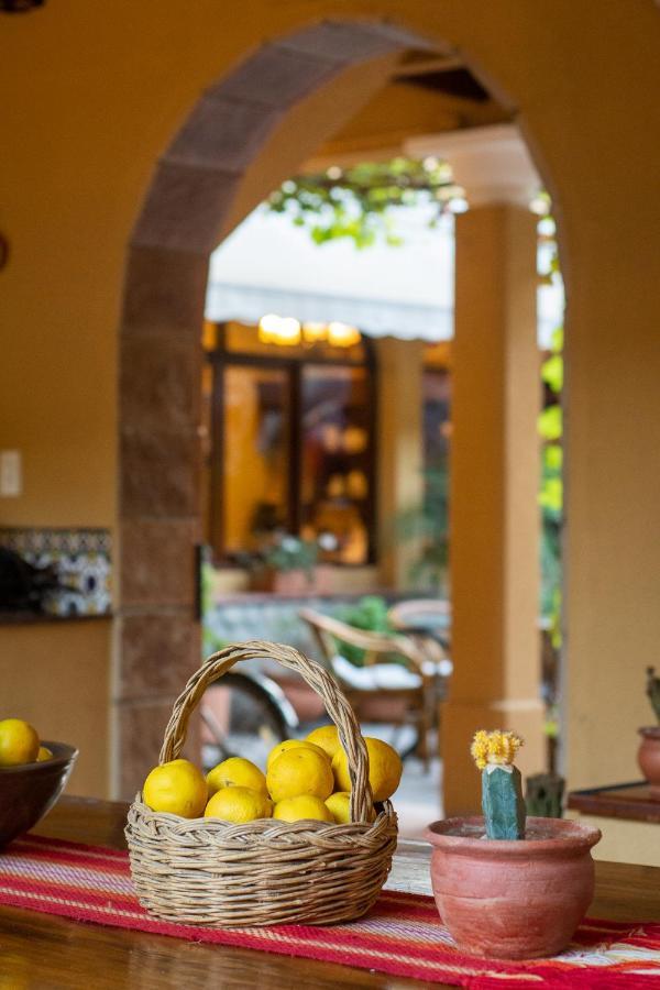 Villa Vicuna Cafayate Boutique Hotel エクステリア 写真