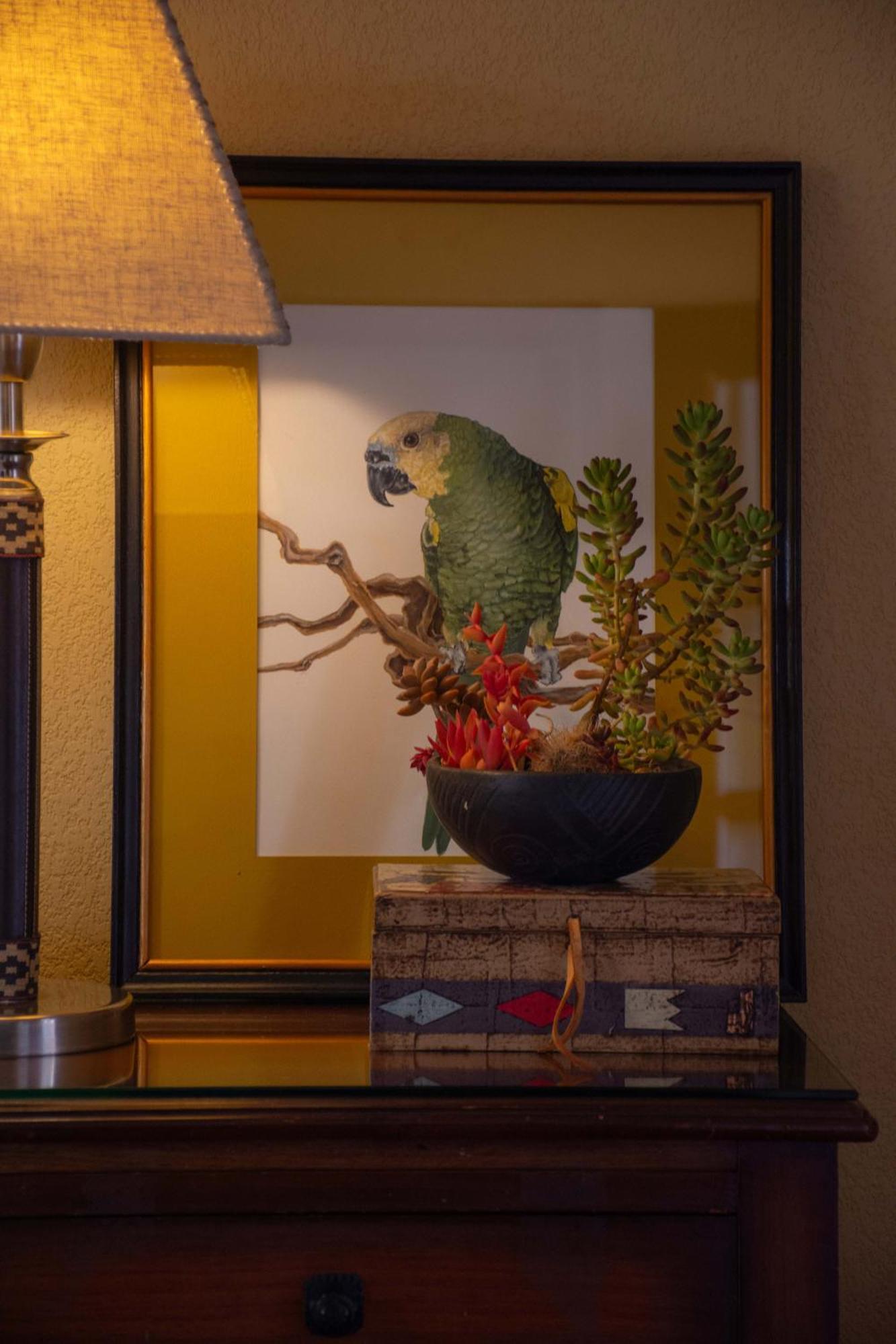 Villa Vicuna Cafayate Boutique Hotel エクステリア 写真