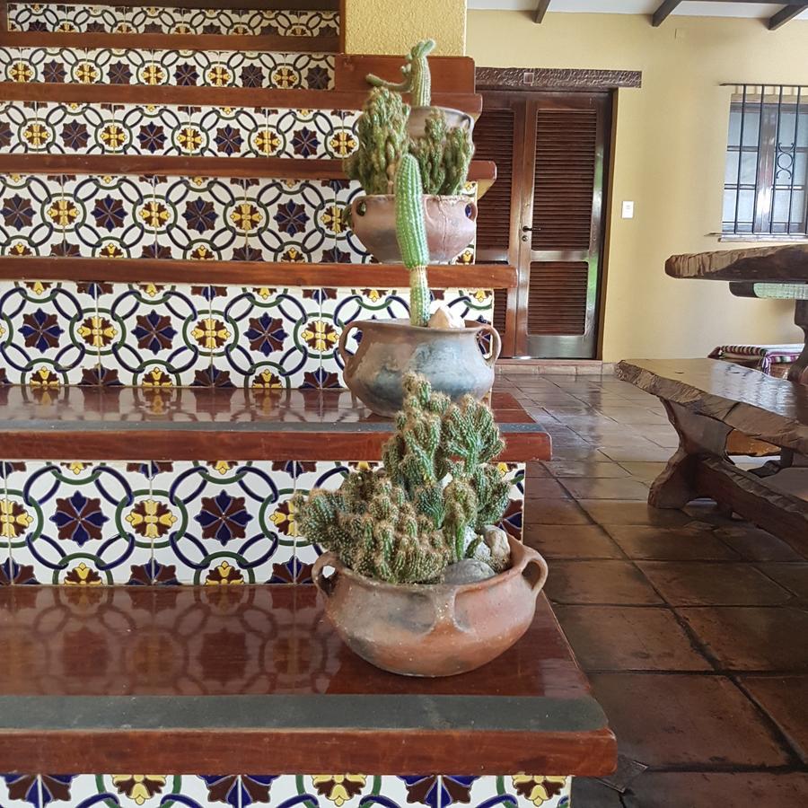 Villa Vicuna Cafayate Boutique Hotel エクステリア 写真